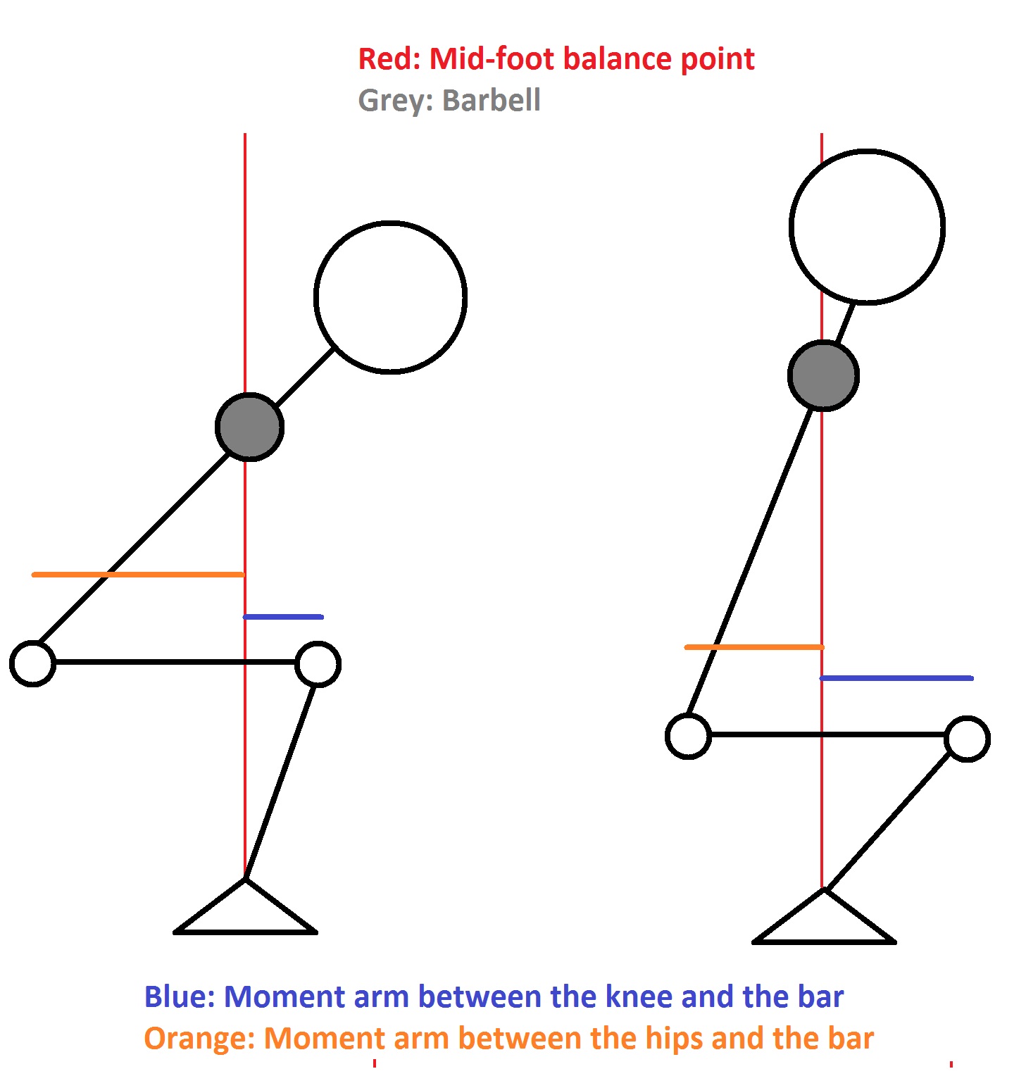Notice that the low bar squat trades a shorter lever arm at the knee for a longer one at the hips