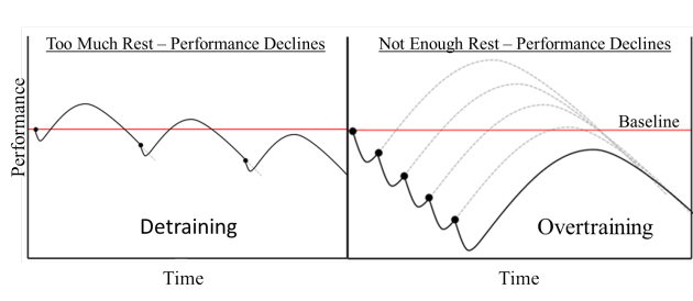 If you wait too long between sessions, you'll begin to detrain. If you don't wait long enough, you risk overtraining.