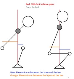 High Bar vs. Low Bar Squats for Powerlifting – PowerliftingToWin