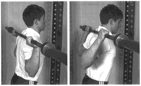 Bicep, Elbow and Shoulder Pain from Low Bar Squats ...